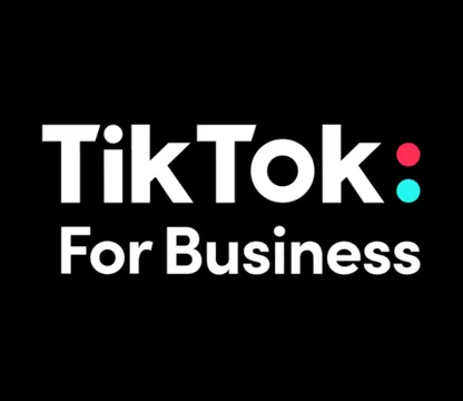 Featured image for LEADLION becomes a TikTok for Business partner in Romania.
