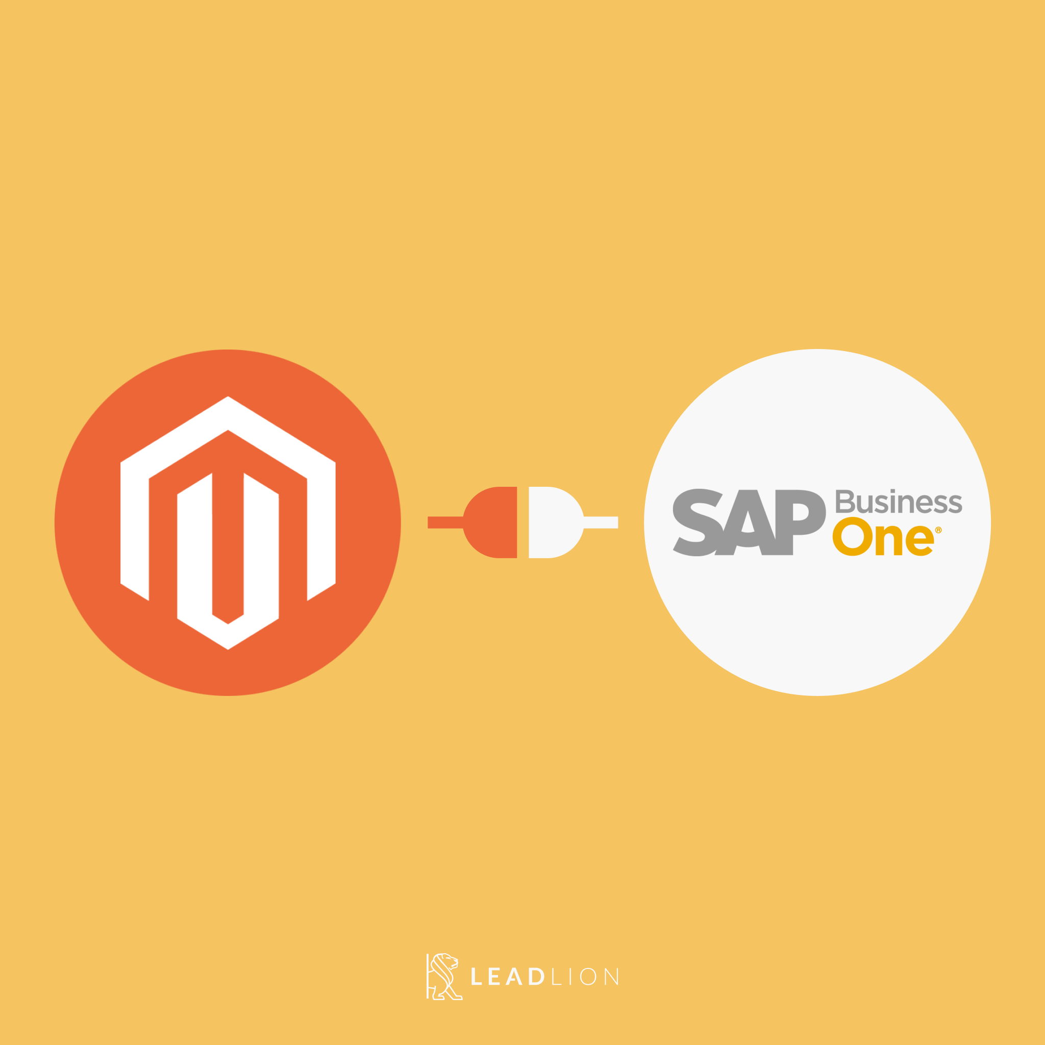 Modul Integrare Magento 2 SAP Business One